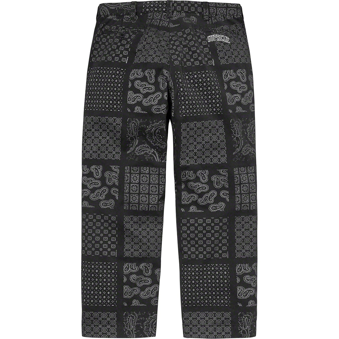 Paisley Grid Chino Pant view 3